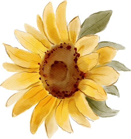 Watercolor Sunflower